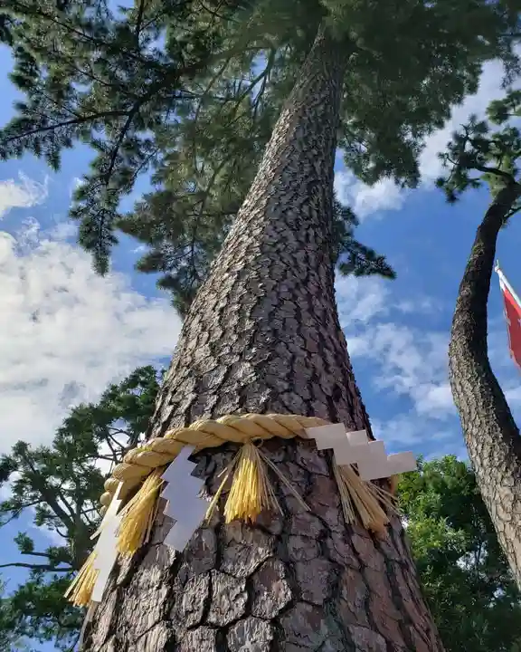 中野沼袋氷川神社の自然