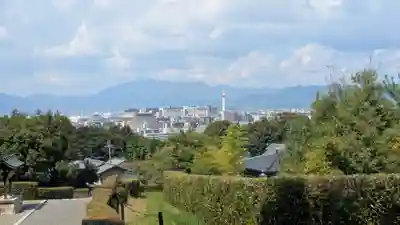 仲恭天皇　九條陵(京都府)