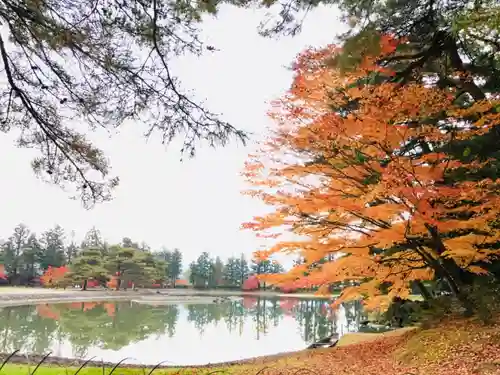 毛越寺の自然