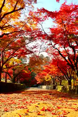 西明寺(滋賀県)