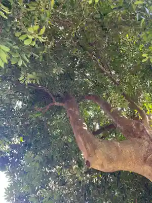 思金神社(神奈川県)