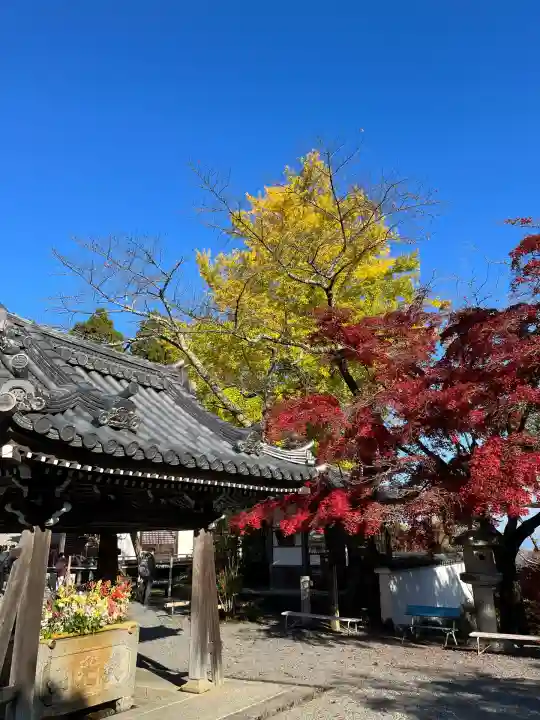 西教寺(滋賀県)