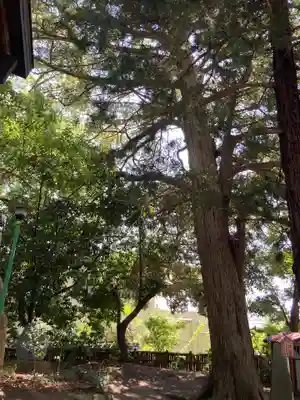 日枝神社(神奈川県)