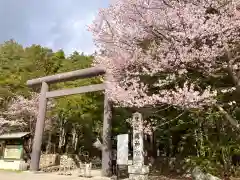 北海道神宮の鳥居