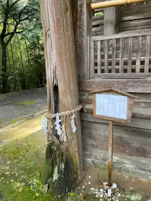 舟城神社(兵庫県)