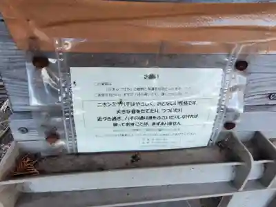 厄除姫稲荷神社(栃木県)