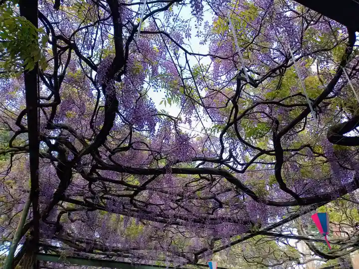 國領神社(東京都)