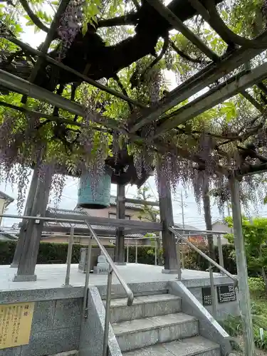 宝珠寺(静岡県)