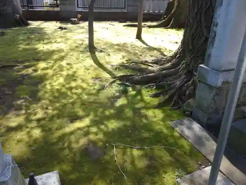 熊野神社の庭園