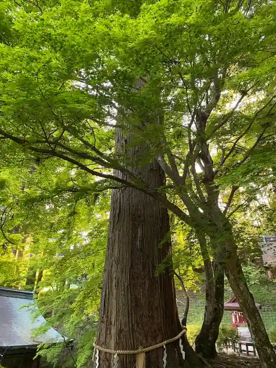 談山神社(奈良県)