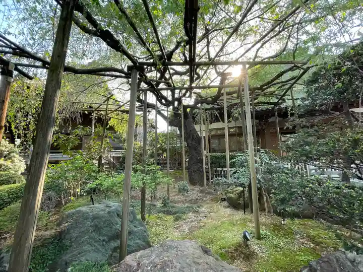玉蔵院(埼玉県)
