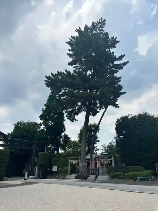 中野沼袋氷川神社(東京都)
