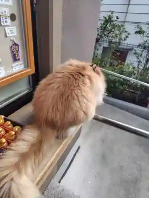 駒込妙義神社(東京都)