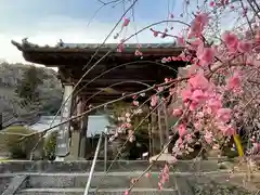 長徳寺の山門