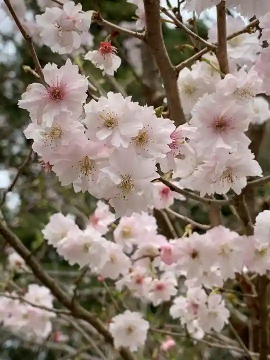彌美神社(福井県)