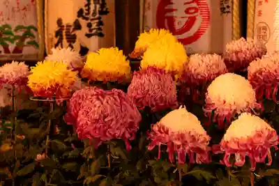 北野天満宮(京都府)