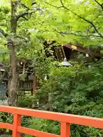 愛宕神社の自然