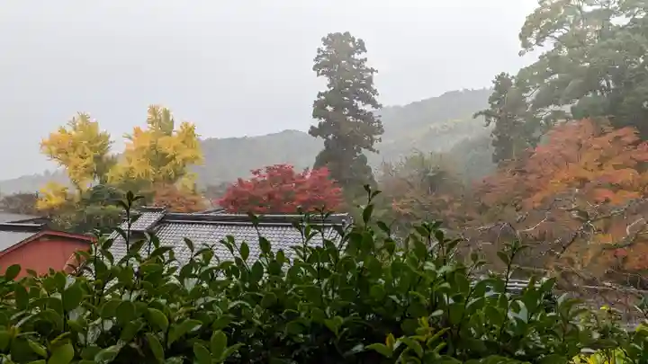 十輪寺(京都府)