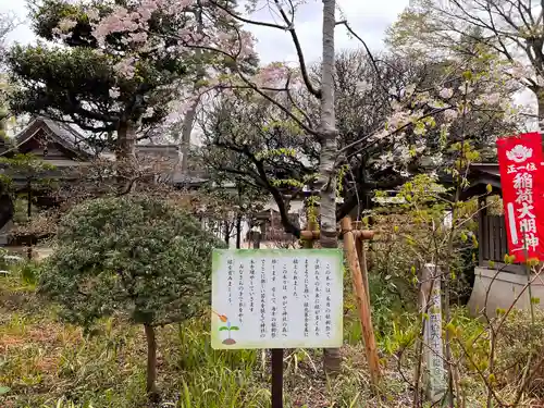 布多天神社の庭園