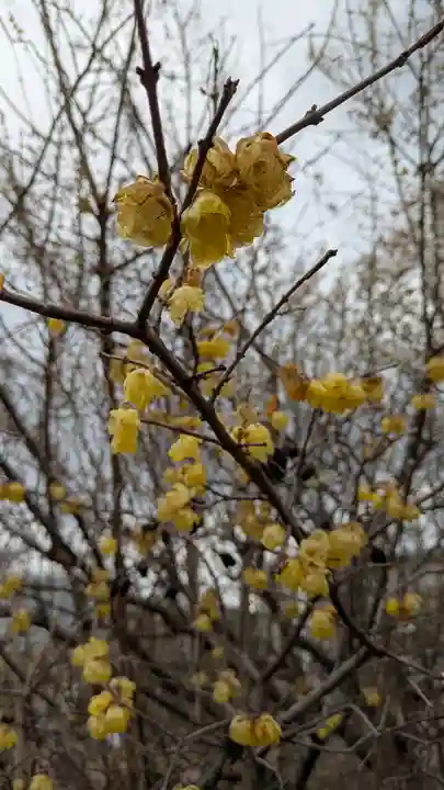 蓮花寺(大阪府)
