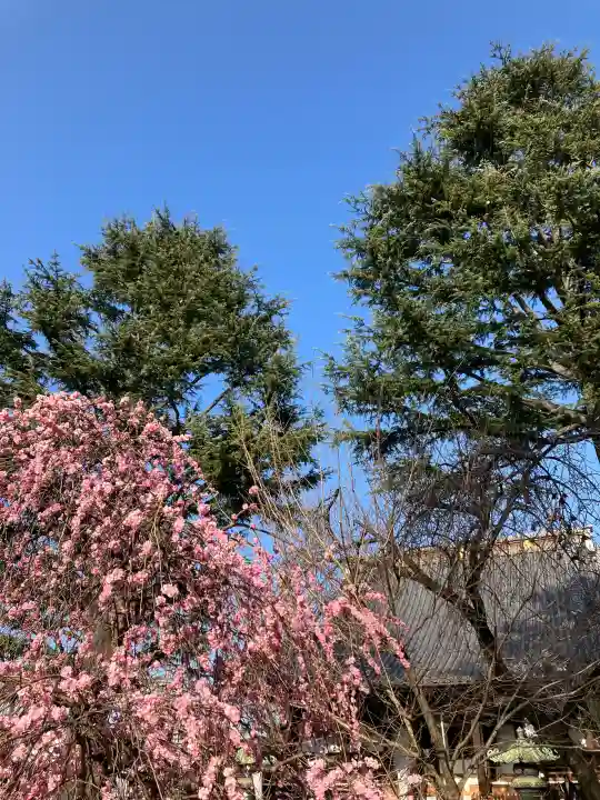 寛永寺(根本中堂)の{uncategorized: "未分類", other: "その他", undefined: "問題あり", building: "その他建物", grave: "お墓", sacred_gate: "鳥居", guardian: "狛犬", statue: "像", buddha: "仏像", history: "歴史", nature: "自然", garden: "庭園", animal: "動物", pagoda: "塔", temizu: "手水舎", mountain_gate: "山門・神門", sanctuary: "本殿・本堂", subordinate: "末社・摂社", art: "芸術", scenery: "景色", jizo: "地蔵", ema: "絵馬", goshuin: "御朱印", omikuji: "おみくじ", items: "授与品その他", amulet: "お守り", goshuincho: "御朱印帳", eats: "食事", festival: "お祭り", votive_dance: "神楽", shichigosan: "七五三参", wedding: "結婚式", experience: "体験その他", initially: "初詣", around: "周辺", anti_infection: "感染症対策"}