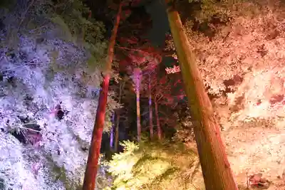 円通院(宮城県)