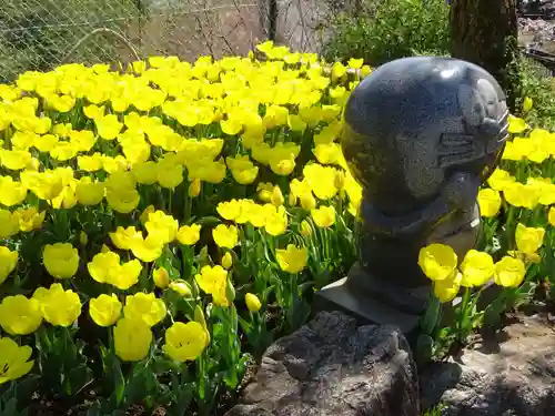 泉蔵寺の庭園