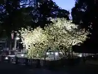 上地八幡宮の自然