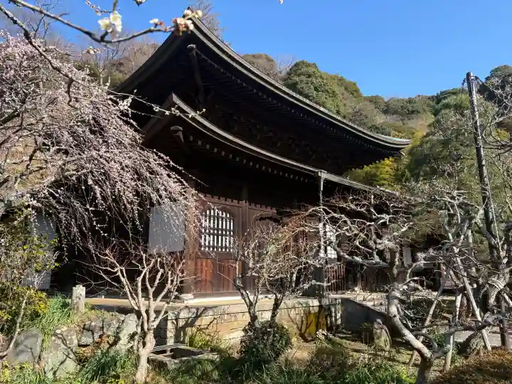 瑞泉寺の{uncategorized: "未分類", other: "その他", undefined: "問題あり", building: "その他建物", grave: "お墓", sacred_gate: "鳥居", guardian: "狛犬", statue: "像", buddha: "仏像", history: "歴史", nature: "自然", garden: "庭園", animal: "動物", pagoda: "塔", temizu: "手水舎", mountain_gate: "山門・神門", sanctuary: "本殿・本堂", subordinate: "末社・摂社", art: "芸術", scenery: "景色", jizo: "地蔵", ema: "絵馬", goshuin: "御朱印", omikuji: "おみくじ", items: "授与品その他", amulet: "お守り", goshuincho: "御朱印帳", eats: "食事", festival: "お祭り", votive_dance: "神楽", shichigosan: "七五三参", wedding: "結婚式", experience: "体験その他", initially: "初詣", around: "周辺", anti_infection: "感染症対策"}