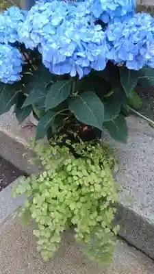 蛇窪神社(東京都)