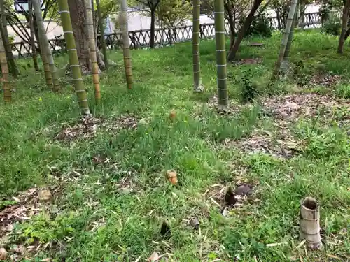 埴生護國八幡宮の自然