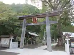 高麗神社の鳥居