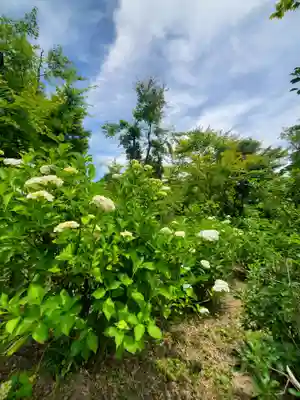 石都々古和気神社(福島県)