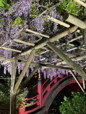 亀戸天神社(東京都)