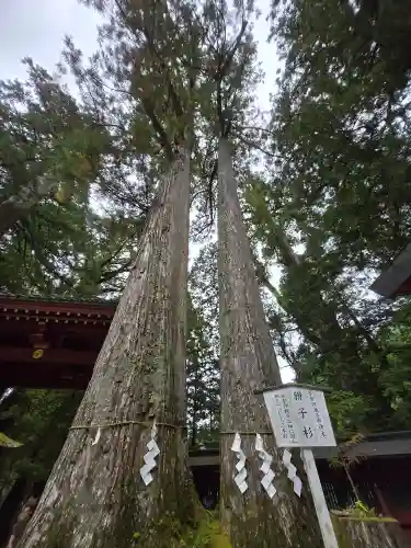 日光二荒山神社(栃木県)