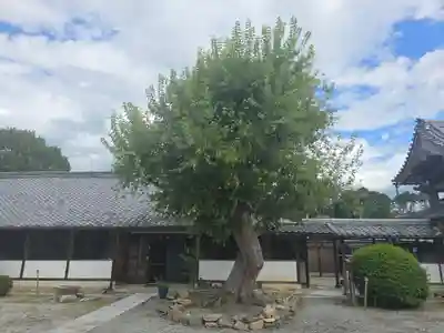 世尊寺(奈良県)