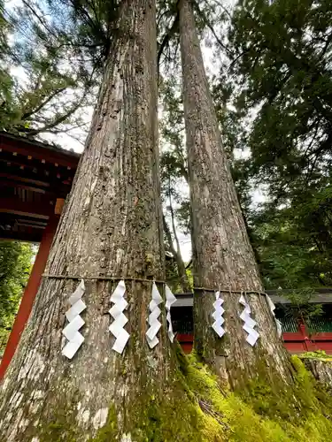 日光二荒山神社(栃木県)