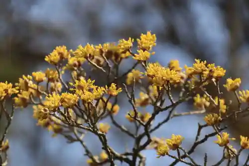 開成山大神宮の庭園