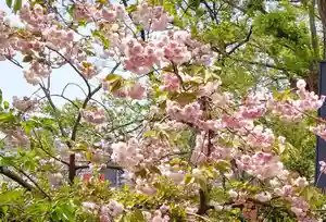 刺田比古神社(和歌山県)(2026年04月26日(日) 06時13分48秒投稿)