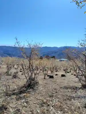 宝登山神社奥宮(埼玉県)