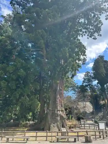 清澄寺の{uncategorized: "未分類", other: "その他", undefined: "問題あり", building: "その他建物", grave: "お墓", sacred_gate: "鳥居", guardian: "狛犬", statue: "像", buddha: "仏像", history: "歴史", nature: "自然", garden: "庭園", animal: "動物", pagoda: "塔", temizu: "手水舎", mountain_gate: "山門・神門", sanctuary: "本殿・本堂", subordinate: "末社・摂社", art: "芸術", scenery: "景色", jizo: "地蔵", ema: "絵馬", goshuin: "御朱印", omikuji: "おみくじ", items: "授与品その他", amulet: "お守り", goshuincho: "御朱印帳", eats: "食事", festival: "お祭り", votive_dance: "神楽", shichigosan: "七五三参", wedding: "結婚式", experience: "体験その他", initially: "初詣", around: "周辺", anti_infection: "感染症対策"}