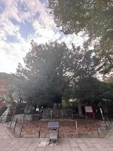 熊野速玉大社(和歌山県)