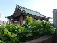 三宝寺の本殿・本堂