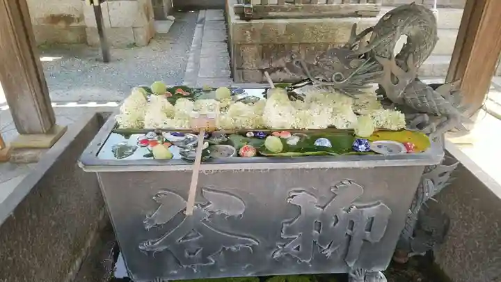 柳谷観音 楊谷寺(京都府)