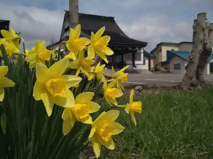 雨竜 専福寺(北海道)