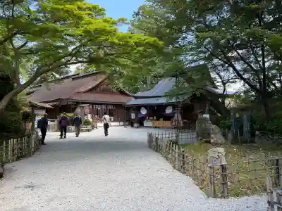 𠮷水神社（吉水神社）の{uncategorized: "未分類", other: "その他", undefined: "問題あり", building: "その他建物", grave: "お墓", sacred_gate: "鳥居", guardian: "狛犬", statue: "像", buddha: "仏像", history: "歴史", nature: "自然", garden: "庭園", animal: "動物", pagoda: "塔", temizu: "手水舎", mountain_gate: "山門・神門", sanctuary: "本殿・本堂", subordinate: "末社・摂社", art: "芸術", scenery: "景色", jizo: "地蔵", ema: "絵馬", goshuin: "御朱印", omikuji: "おみくじ", items: "授与品その他", amulet: "お守り", goshuincho: "御朱印帳", eats: "食事", festival: "お祭り", votive_dance: "神楽", shichigosan: "七五三参", wedding: "結婚式", experience: "体験その他", initially: "初詣", around: "周辺", anti_infection: "感染症対策"}