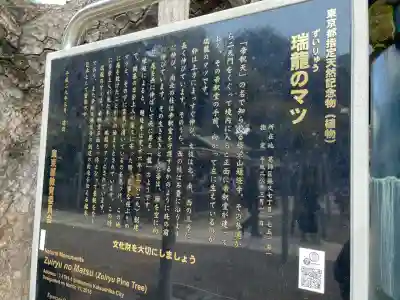 題経寺(柴又帝釈天)(東京都)