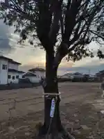 女体神社(埼玉県)