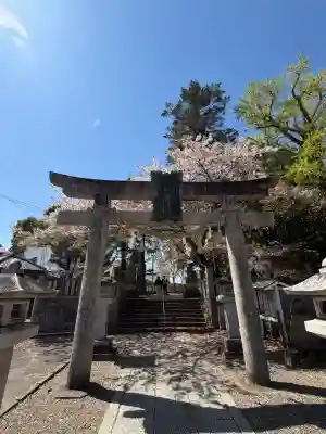 玉前神社の{uncategorized: "未分類", other: "その他", undefined: "問題あり", building: "その他建物", grave: "お墓", sacred_gate: "鳥居", guardian: "狛犬", statue: "像", buddha: "仏像", history: "歴史", nature: "自然", garden: "庭園", animal: "動物", pagoda: "塔", temizu: "手水舎", mountain_gate: "山門・神門", sanctuary: "本殿・本堂", subordinate: "末社・摂社", art: "芸術", scenery: "景色", jizo: "地蔵", ema: "絵馬", goshuin: "御朱印", omikuji: "おみくじ", items: "授与品その他", amulet: "お守り", goshuincho: "御朱印帳", eats: "食事", festival: "お祭り", votive_dance: "神楽", shichigosan: "七五三参", wedding: "結婚式", experience: "体験その他", initially: "初詣", around: "周辺", anti_infection: "感染症対策"}