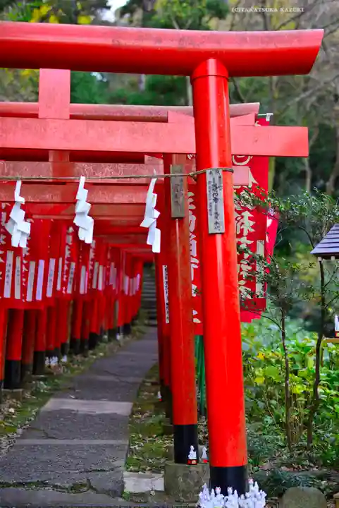 佐助稲荷神社の鳥居